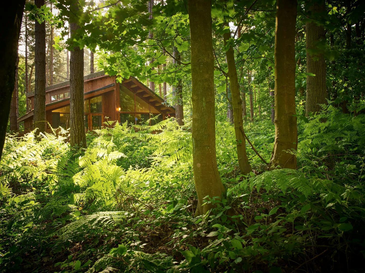 Blackwood Forest Cabins - Forest Holidays Popham Exterior foto
